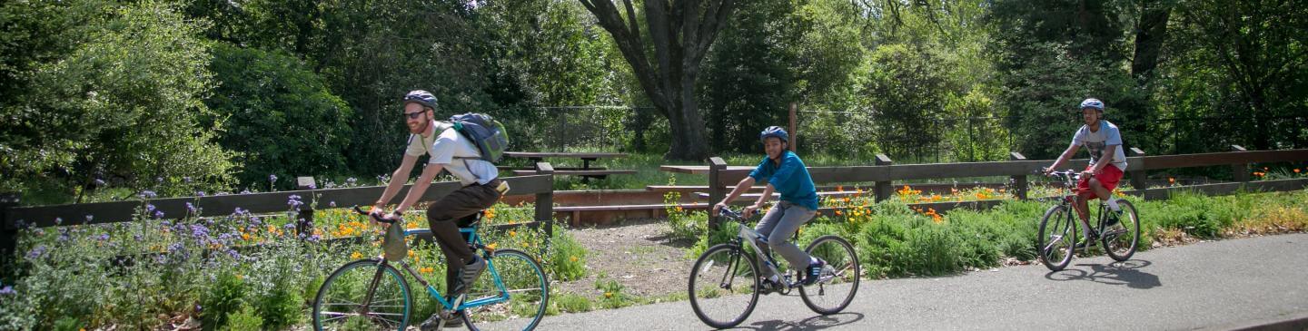 Lafayette-Moraga Regional Trail
